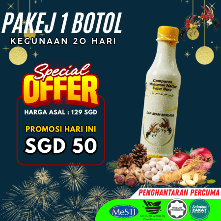 1 tonik ayam berlaga SGD